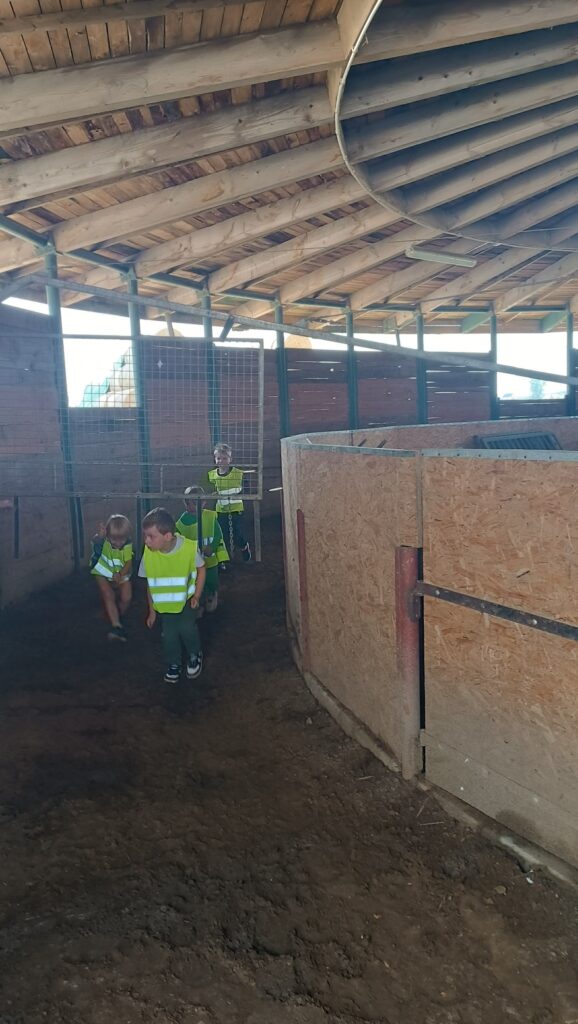 Grupa dzieci podczas zajęć hipoterapii