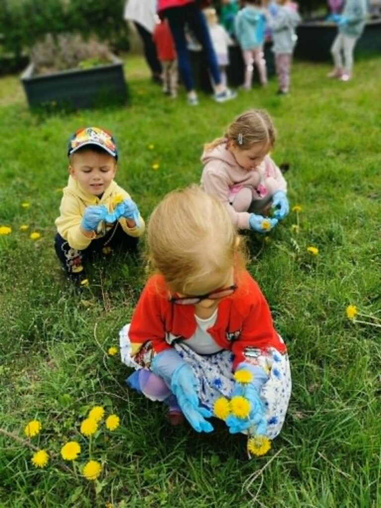 dzieci zbierają kwiatki 